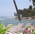 Caribe Playa Beach Resort