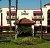 Comfort Inn and Suites John Wayne Airport Santa Ana
